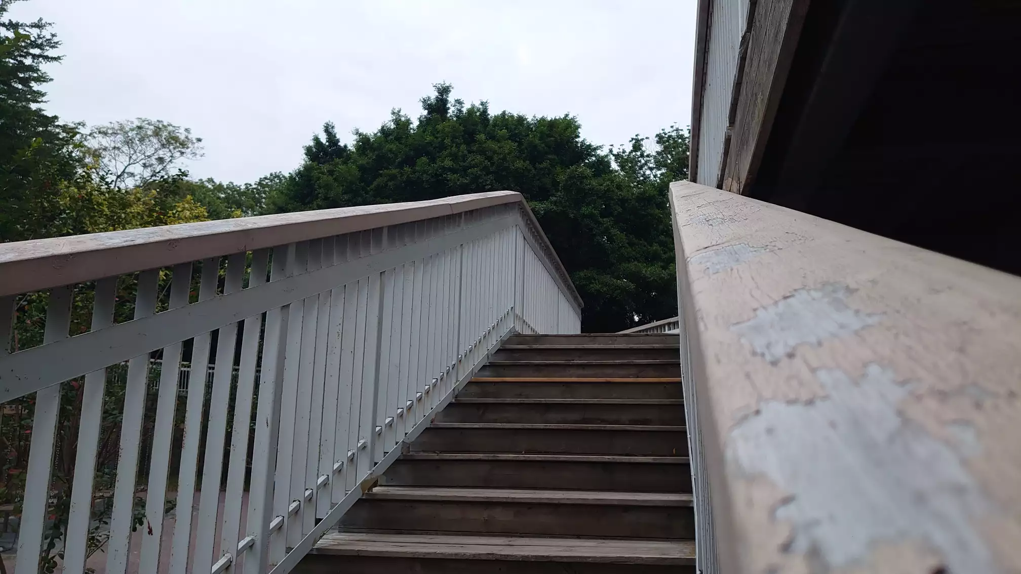 在步行梯扶手处对着天空斜上方拍了一张图片，可以看到步行梯的扶手和台阶地板是木头做的，栏杆则是刷了白漆的铁栏杆